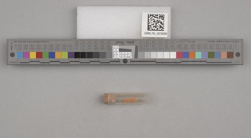 NSF ADBC EPICC TCN