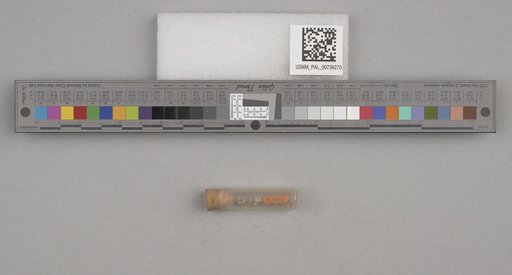 NSF ADBC EPICC TCN