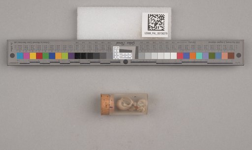 NSF ADBC EPICC TCN
