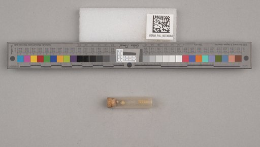 NSF ADBC EPICC TCN