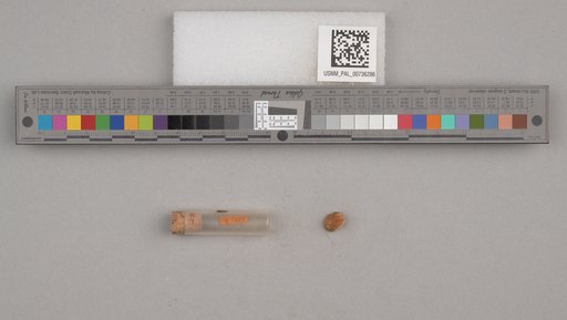 NSF ADBC EPICC TCN