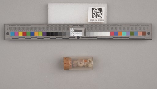 NSF ADBC EPICC TCN