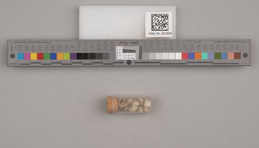 NSF ADBC EPICC TCN