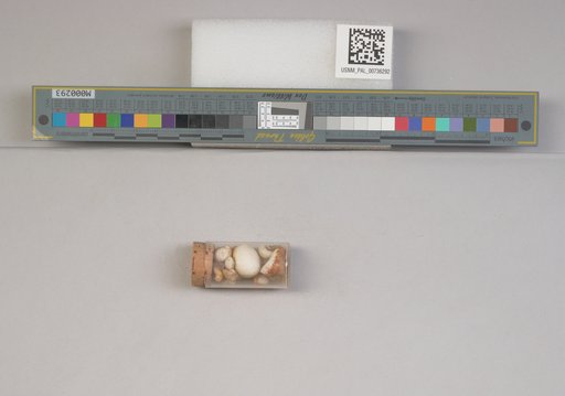 NSF ADBC EPICC TCN