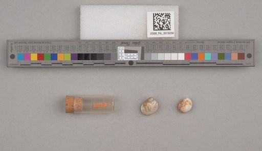 NSF ADBC EPICC TCN