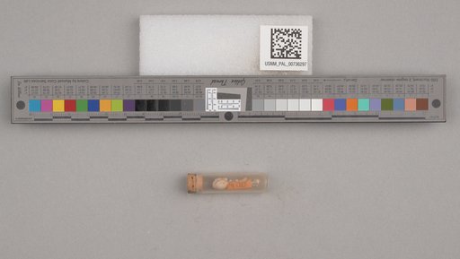 NSF ADBC EPICC TCN