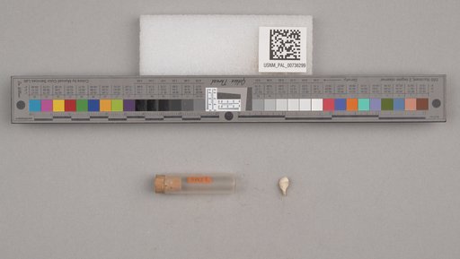 NSF ADBC EPICC TCN