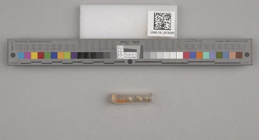 NSF ADBC EPICC TCN