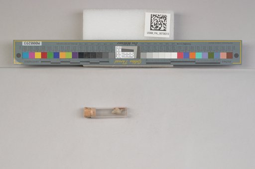 NSF ADBC EPICC TCN