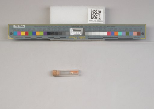 NSF ADBC EPICC TCN
