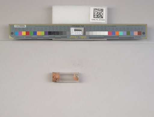NSF ADBC EPICC TCN
