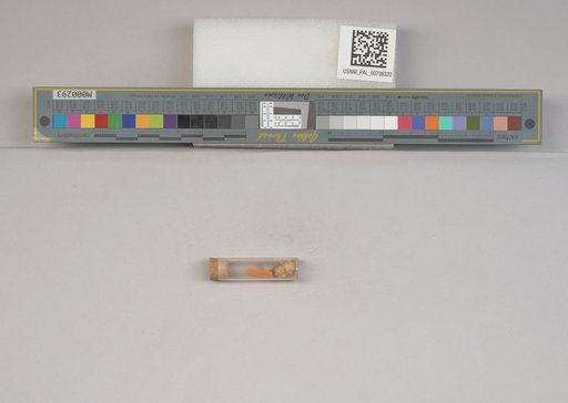 NSF ADBC EPICC TCN