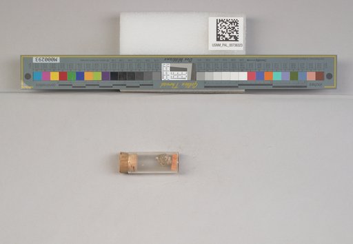 NSF ADBC EPICC TCN