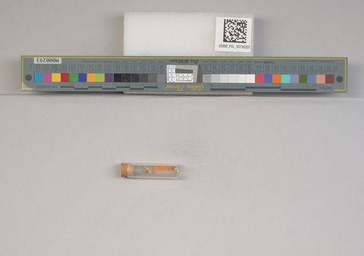 NSF ADBC EPICC TCN