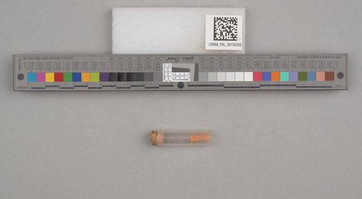 NSF ADBC EPICC TCN