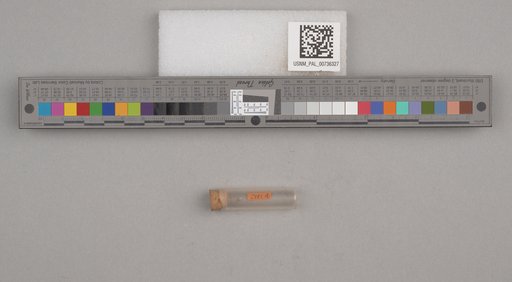 NSF ADBC EPICC TCN