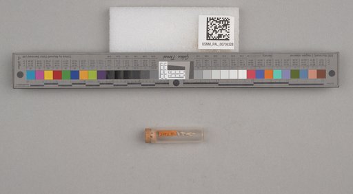 NSF ADBC EPICC TCN