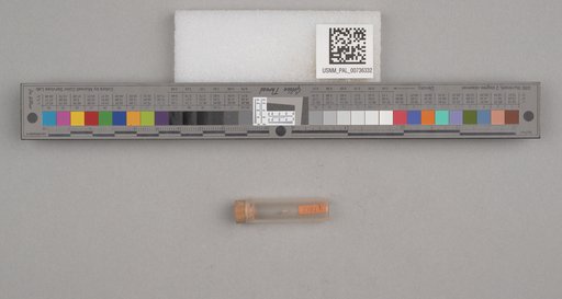 NSF ADBC EPICC TCN