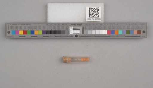 NSF ADBC EPICC TCN