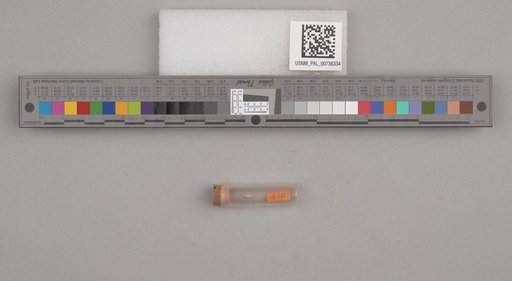 NSF ADBC EPICC TCN