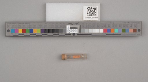 NSF ADBC EPICC TCN