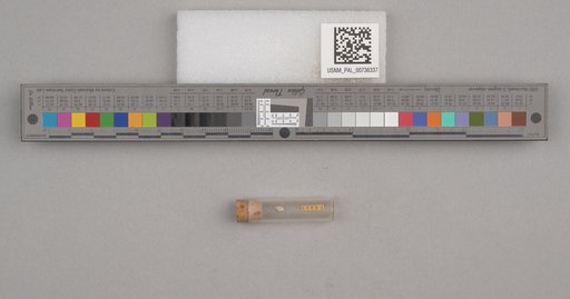 NSF ADBC EPICC TCN
