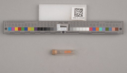 NSF ADBC EPICC TCN