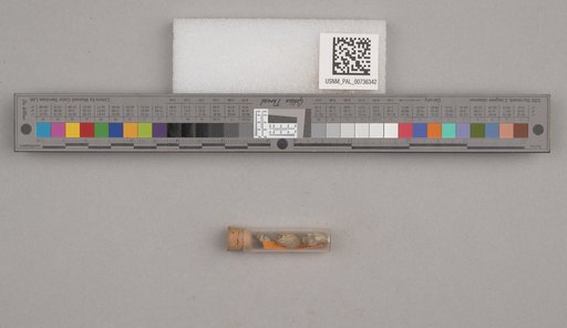NSF ADBC EPICC TCN