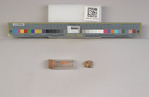 NSF ADBC EPICC TCN