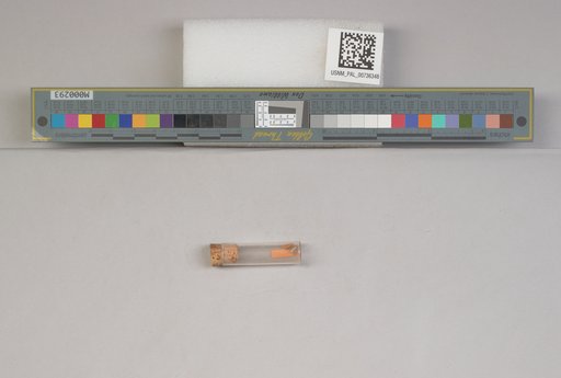 NSF ADBC EPICC TCN