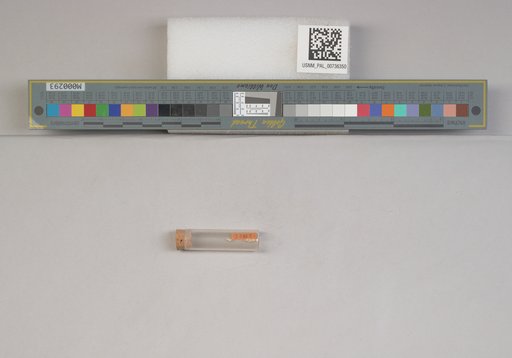 NSF ADBC EPICC TCN
