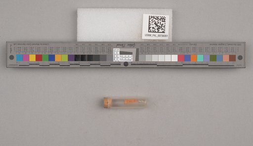 NSF ADBC EPICC TCN