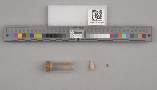 NSF ADBC EPICC TCN