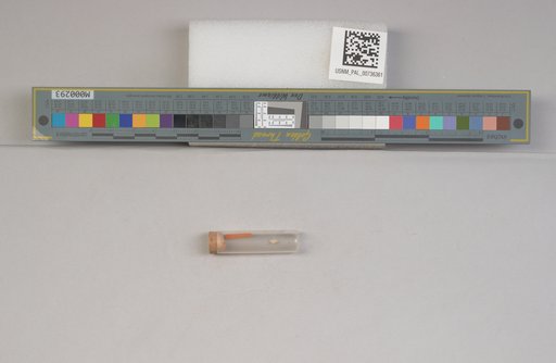 NSF ADBC EPICC TCN