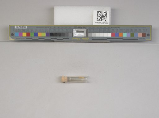 NSF ADBC EPICC TCN