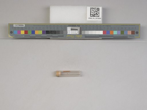 NSF ADBC EPICC TCN