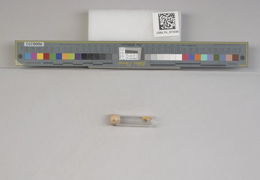 NSF ADBC EPICC TCN