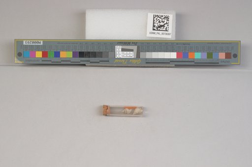 NSF ADBC EPICC TCN