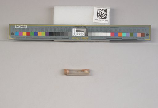 NSF ADBC EPICC TCN