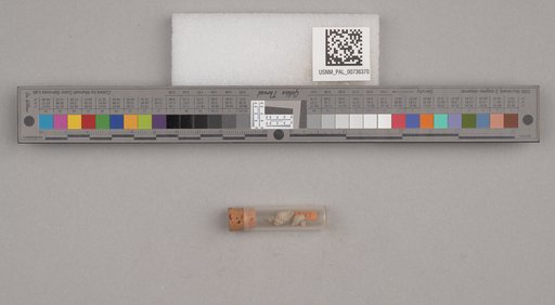 NSF ADBC EPICC TCN