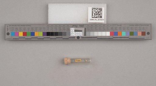 NSF ADBC EPICC TCN