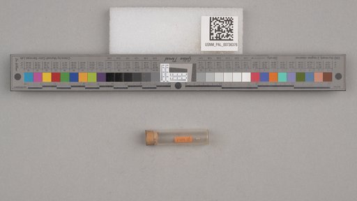 NSF ADBC EPICC TCN