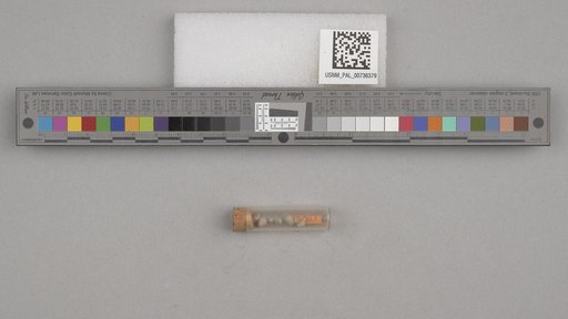NSF ADBC EPICC TCN