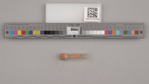 NSF ADBC EPICC TCN