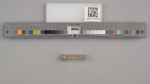 NSF ADBC EPICC TCN