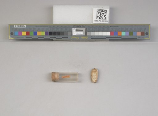 NSF ADBC EPICC TCN