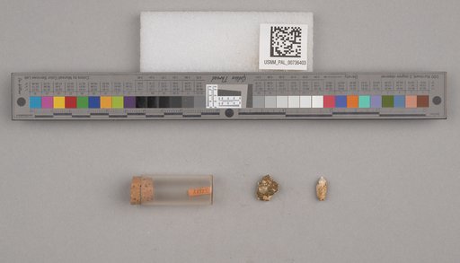 NSF ADBC EPICC TCN