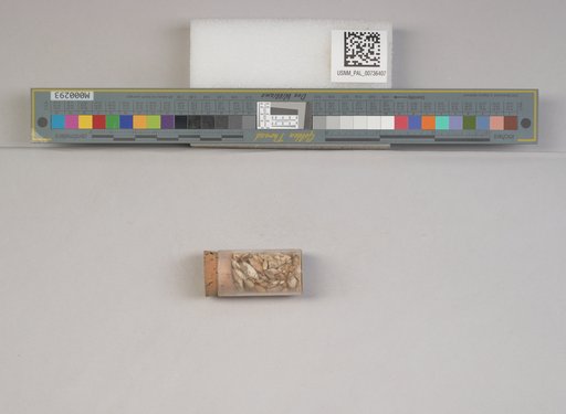 NSF ADBC EPICC TCN
