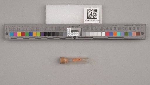NSF ADBC EPICC TCN