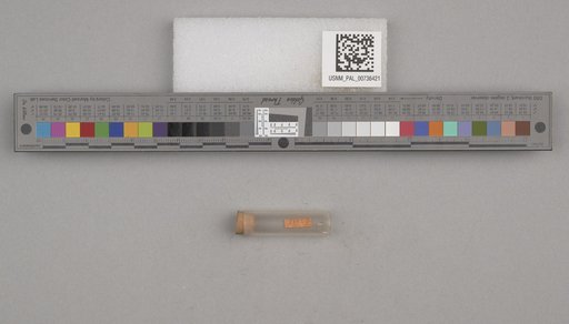 NSF ADBC EPICC TCN